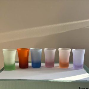 Vintage Set of Six (6) Pastel Frosted Satin Glass Shot Glasses